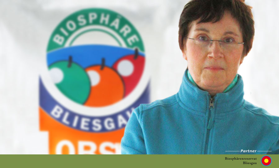 18 bigbild hegmann partner
